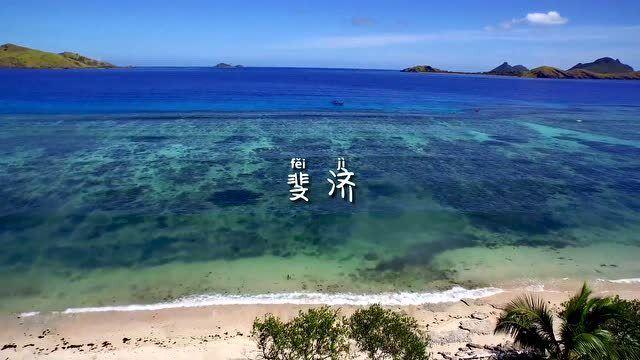 漂亮鹦鹉救援