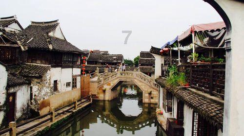 司马南：茅台政治生态研究游戏画面